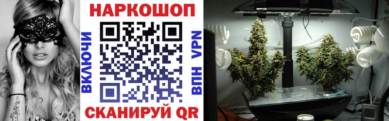 Купить Гашиш  Кокаин  Псилоцибиновые грибы  Каннабис  Меф мяу мяу  А ПВП  Болохово