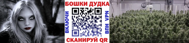 Купить где  Болохово  Каннабис гибрид 